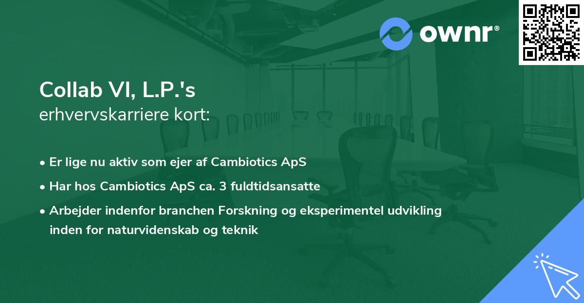 Collab VI, L.P.'s erhvervskarriere kort