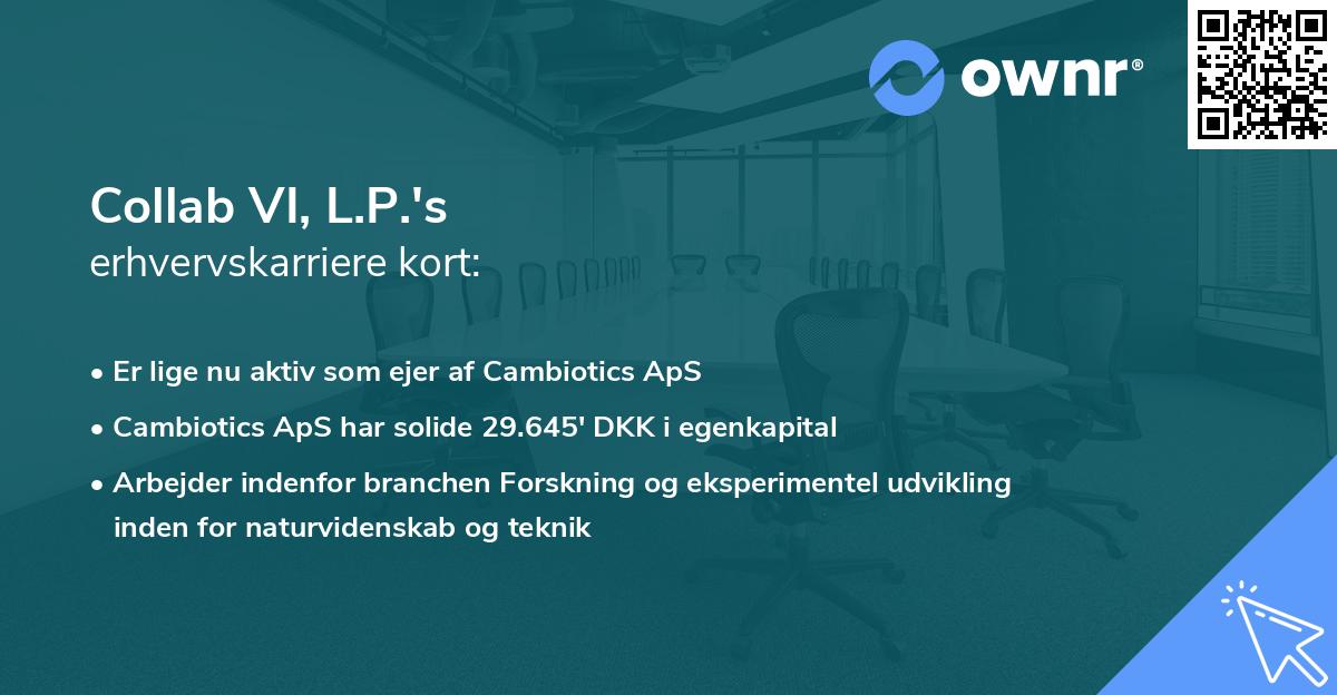 Collab VI, L.P.'s erhvervskarriere kort