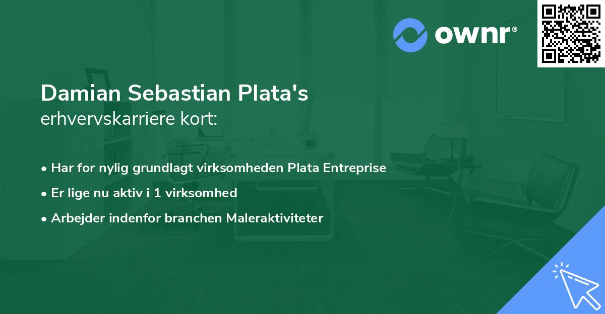 Damian Sebastian Plata's erhvervskarriere kort