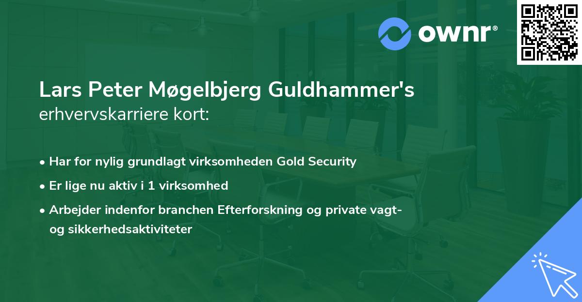 Lars Peter Møgelbjerg Guldhammer's erhvervskarriere kort