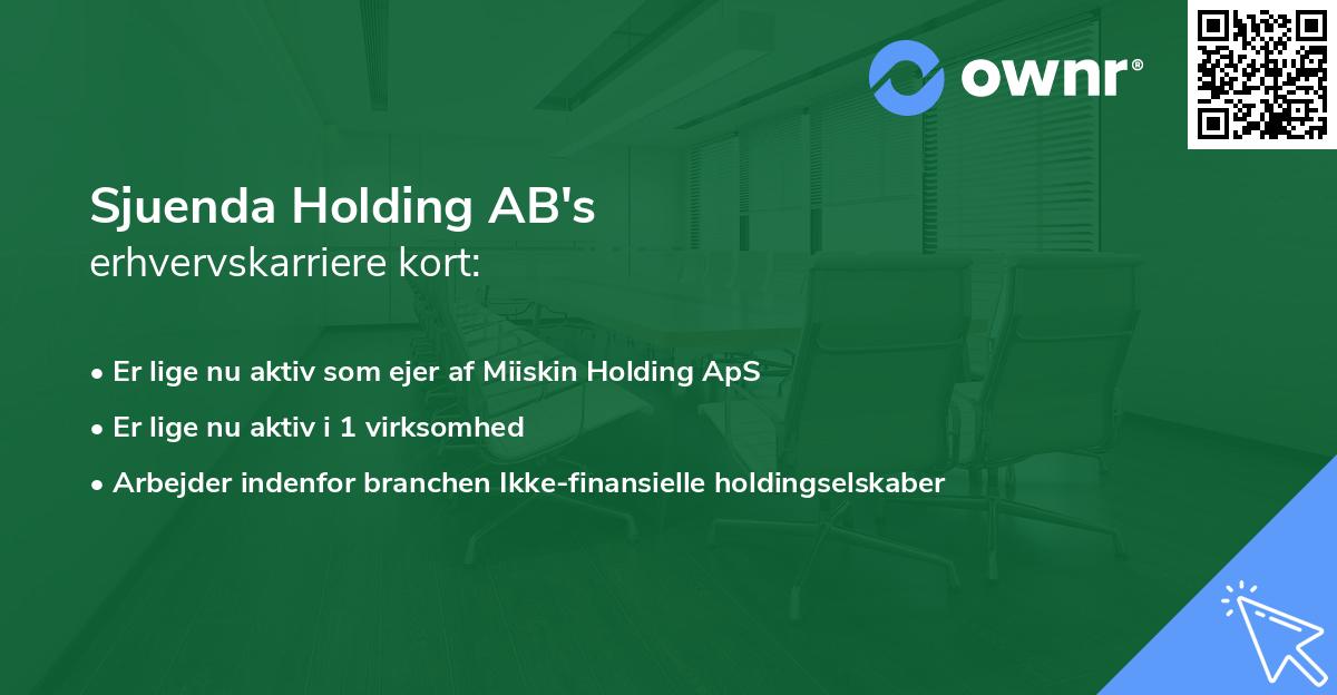 Sjuenda Holding AB's erhvervskarriere kort