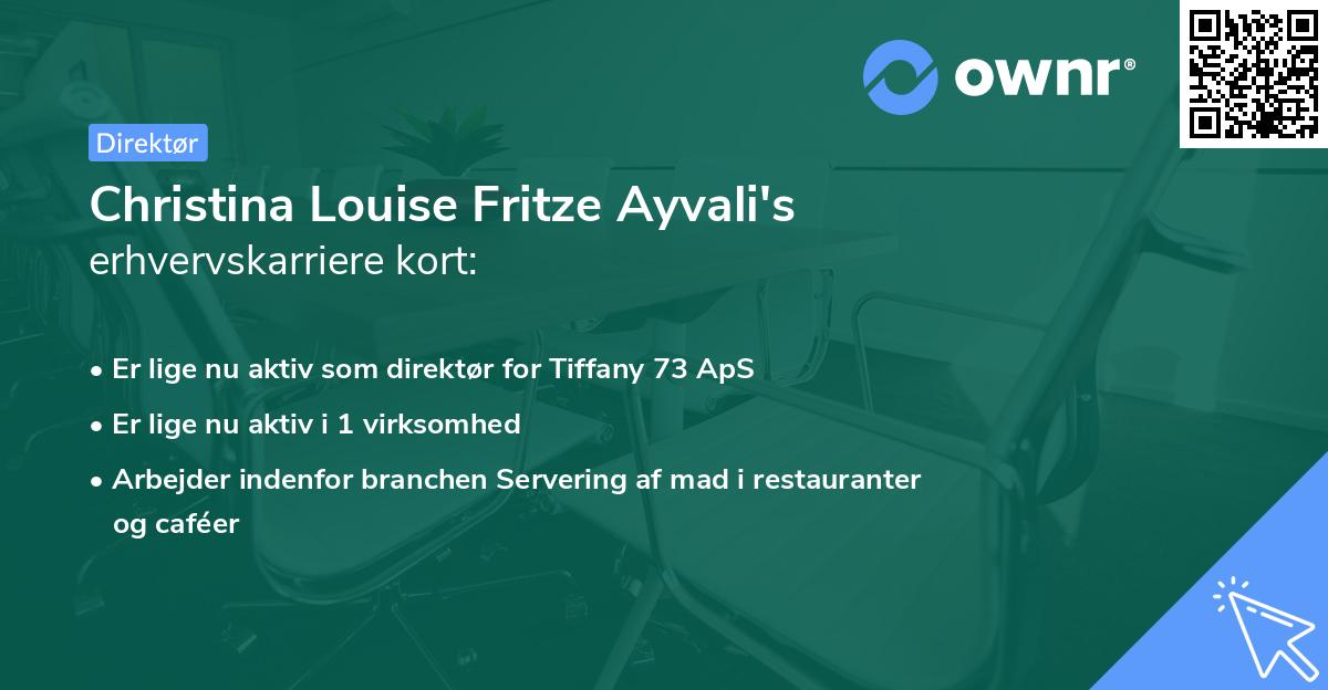 Christina Louise Fritze Ayvali's erhvervskarriere kort