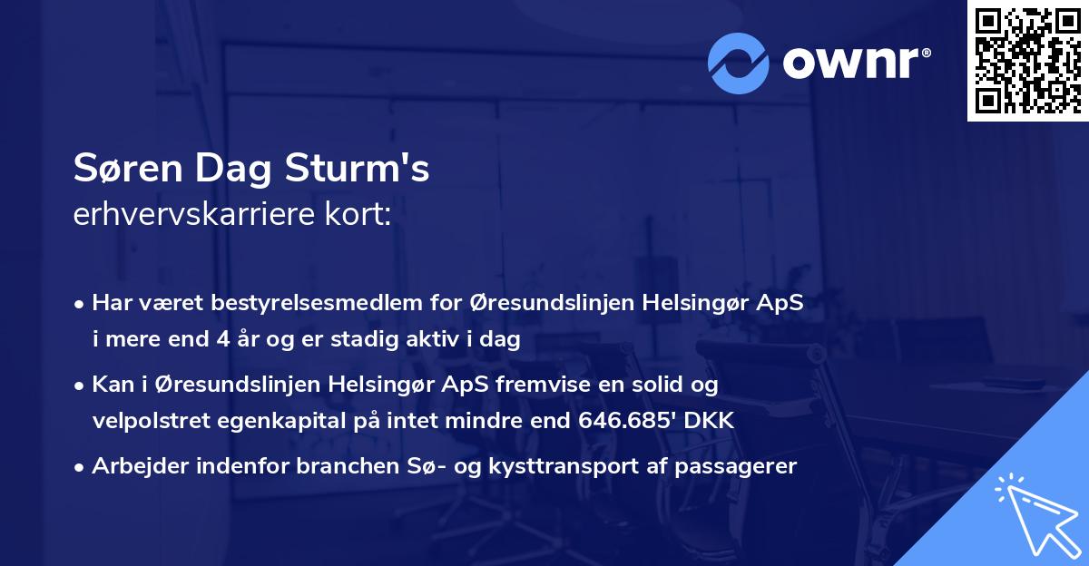 Søren Dag Sturm's erhvervskarriere kort