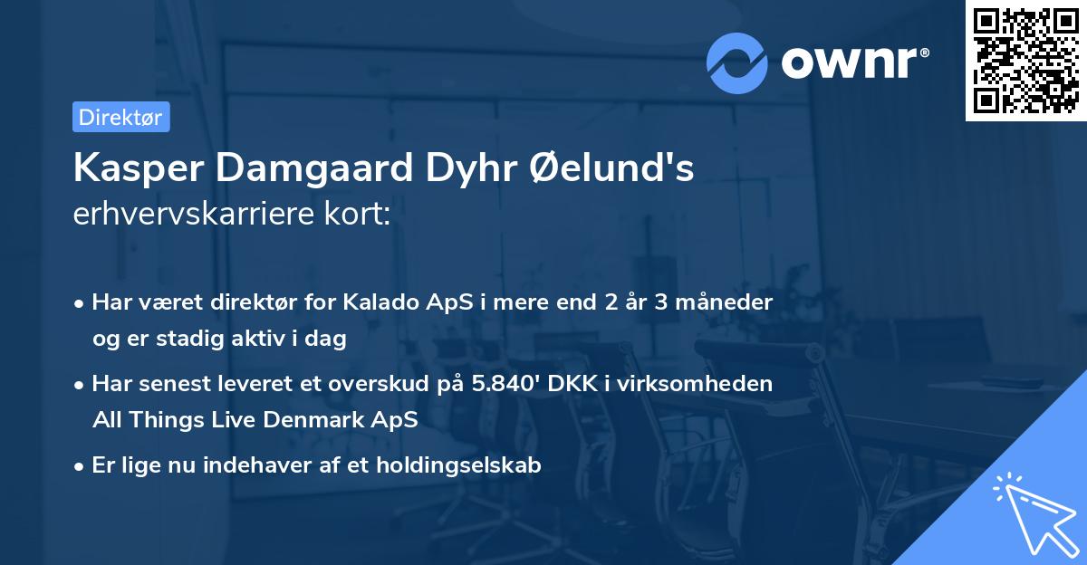 Kasper Damgaard Dyhr Øelund's erhvervskarriere kort
