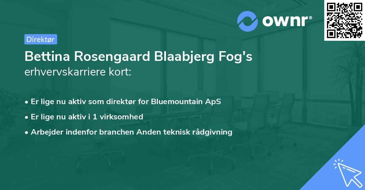 Bettina Rosengaard Blaabjerg Fog's erhvervskarriere kort