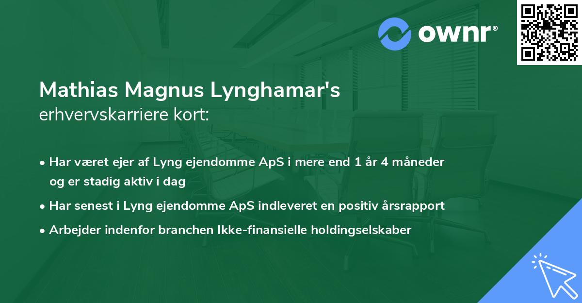 Mathias Magnus Lynghamar's erhvervskarriere kort