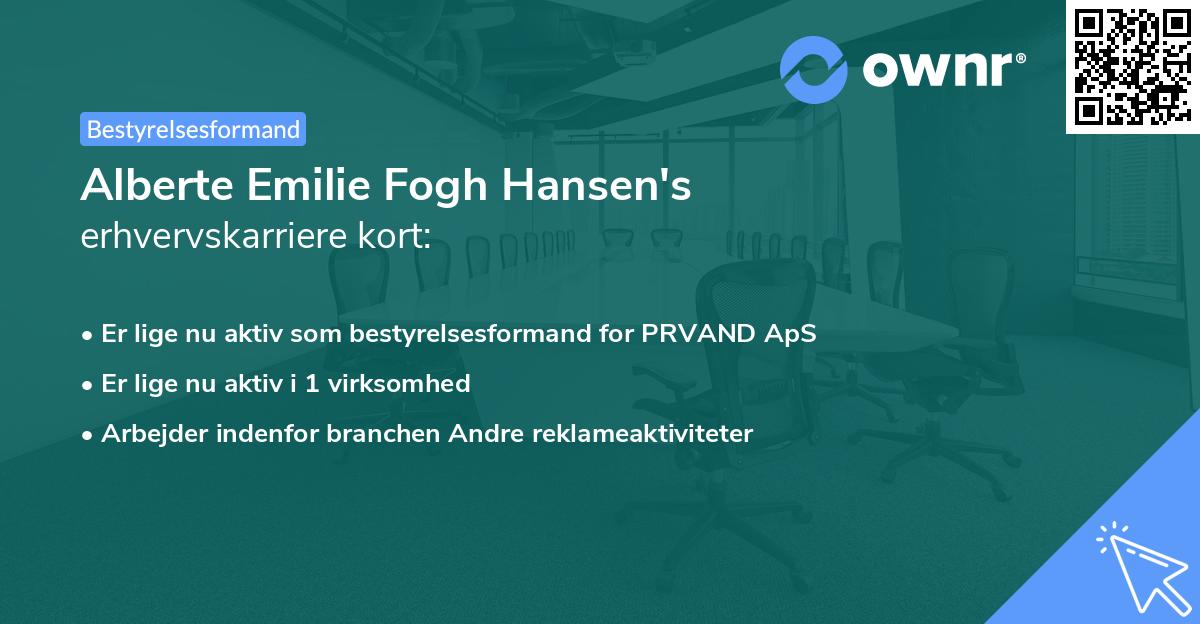 Alberte Emilie Fogh Hansen's erhvervskarriere kort