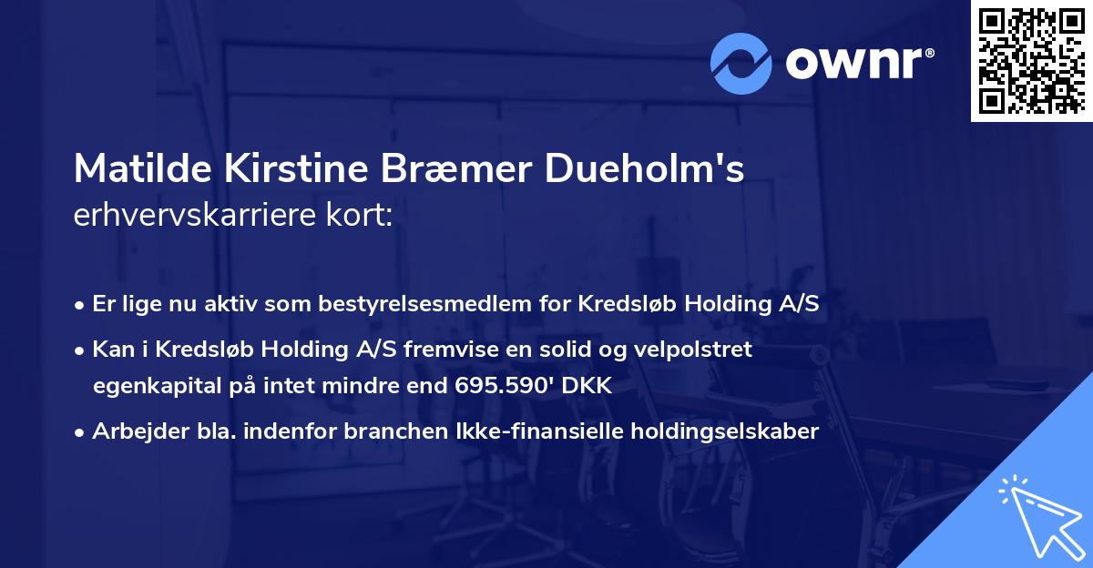 Matilde Kirstine Bræmer Dueholm's erhvervskarriere kort