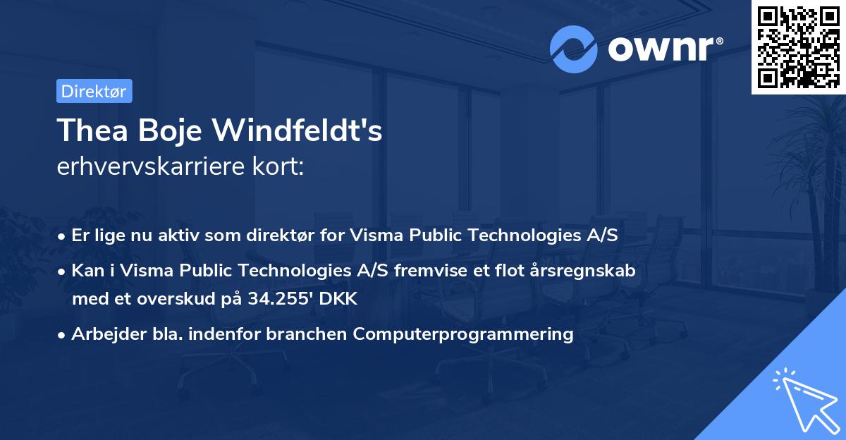 Thea Boje Windfeldt's erhvervskarriere kort