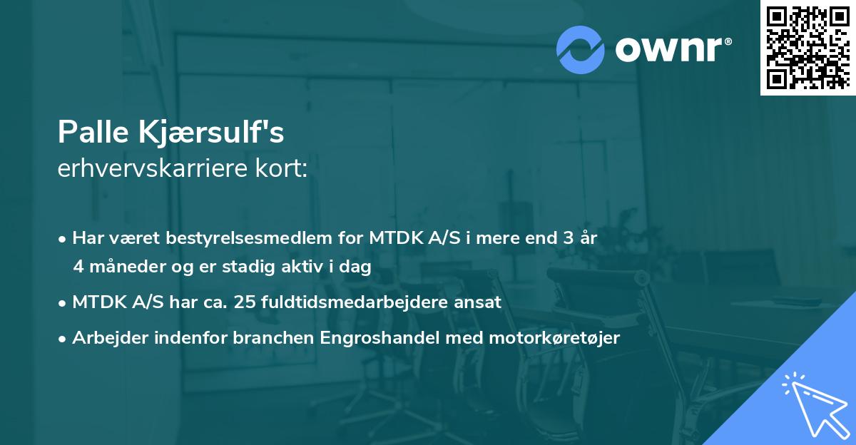 Palle Kjærsulf's erhvervskarriere kort