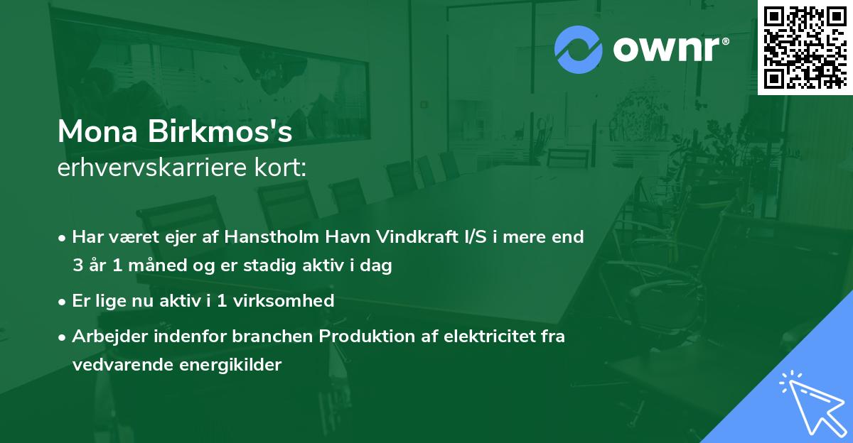 Mona Birkmos's erhvervskarriere kort