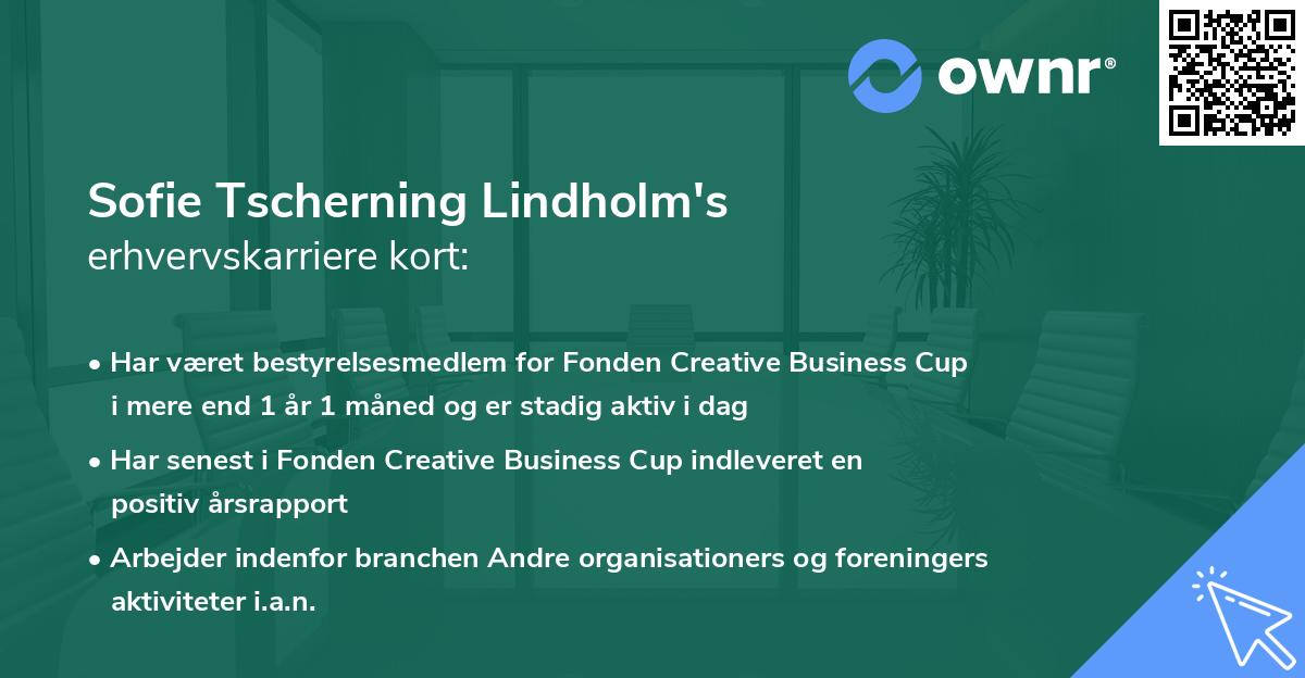 Sofie Tscherning Lindholm's erhvervskarriere kort