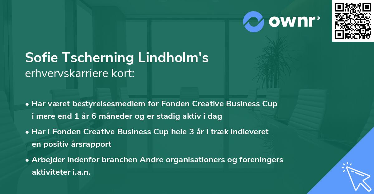 Sofie Tscherning Lindholm's erhvervskarriere kort
