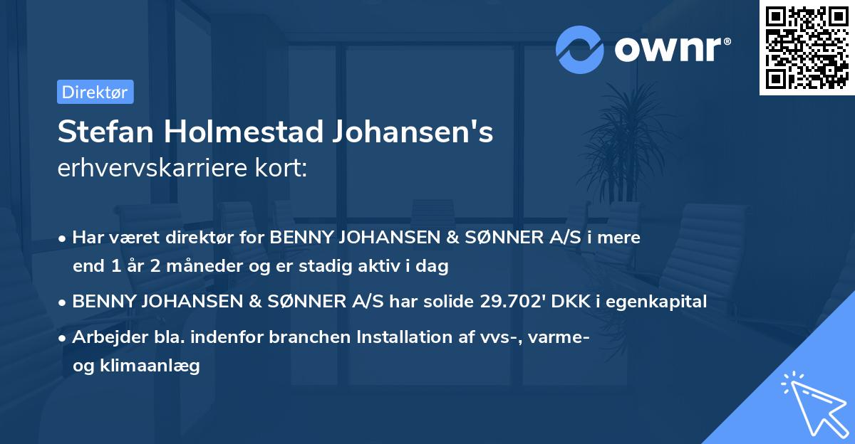 Stefan Holmestad Johansen's erhvervskarriere kort