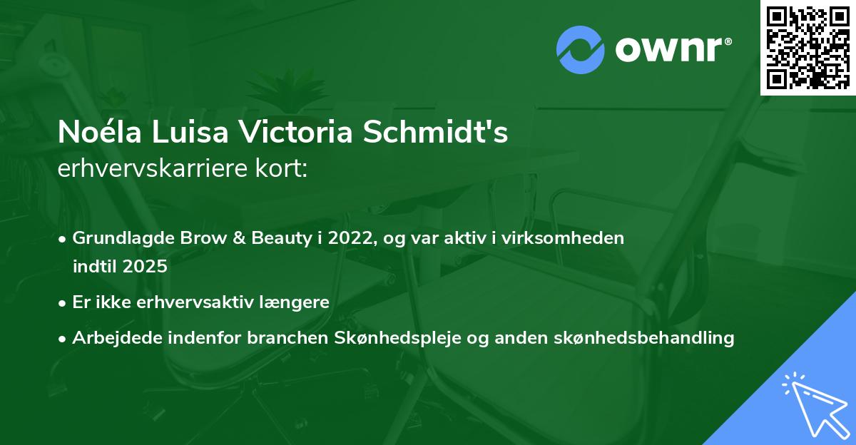 Noéla Luisa Victoria Schmidt's erhvervskarriere kort