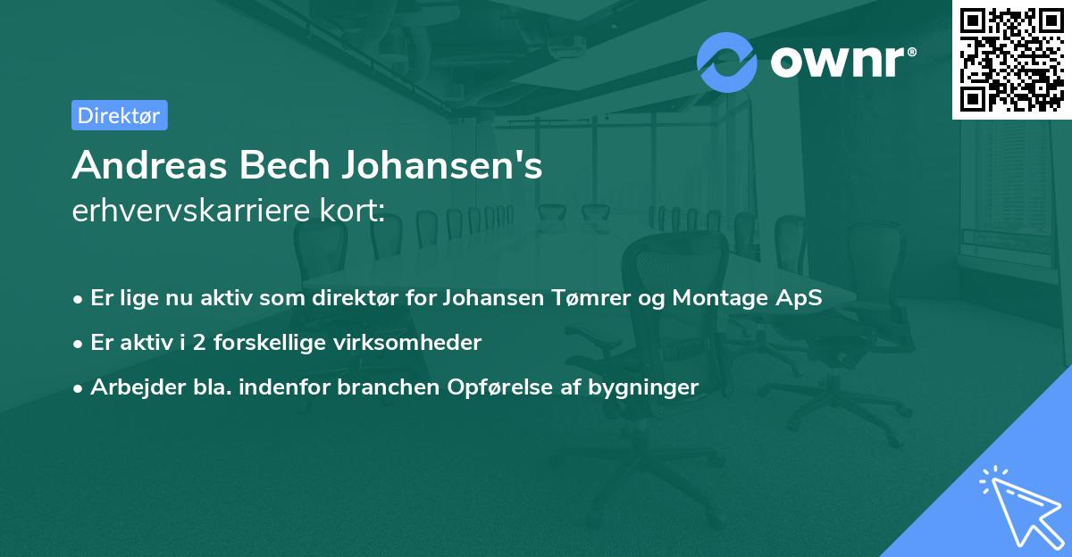 Andreas Bech Johansen's erhvervskarriere kort