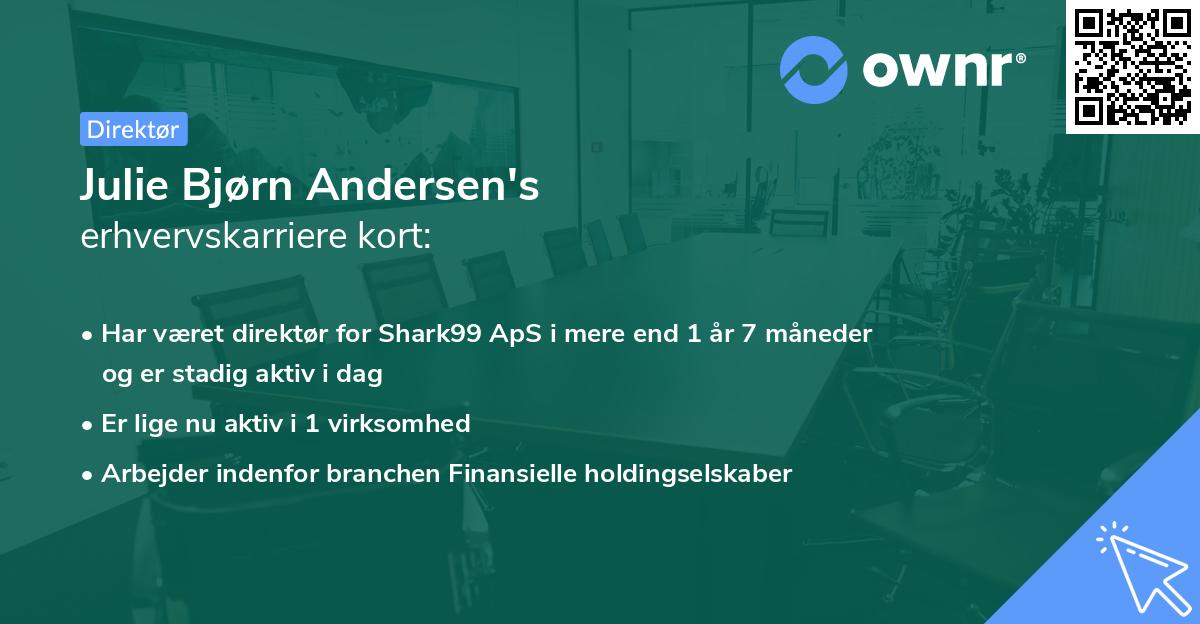 Julie Bjørn Andersen's erhvervskarriere kort