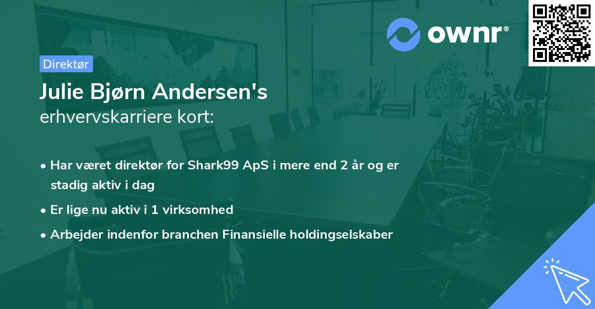 Julie Bjørn Andersen's erhvervskarriere kort