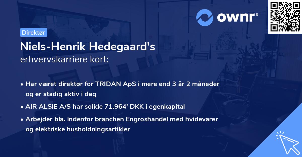 Niels-Henrik Hedegaard's erhvervskarriere kort