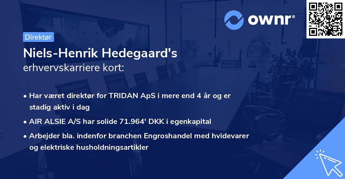 Niels-Henrik Hedegaard's erhvervskarriere kort
