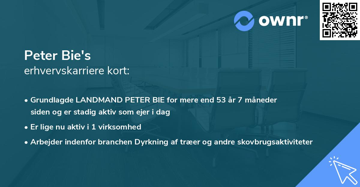 Peter Bie's erhvervskarriere kort