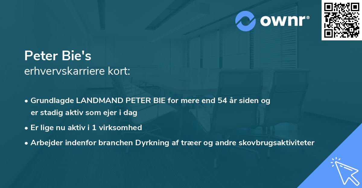 Peter Bie's erhvervskarriere kort