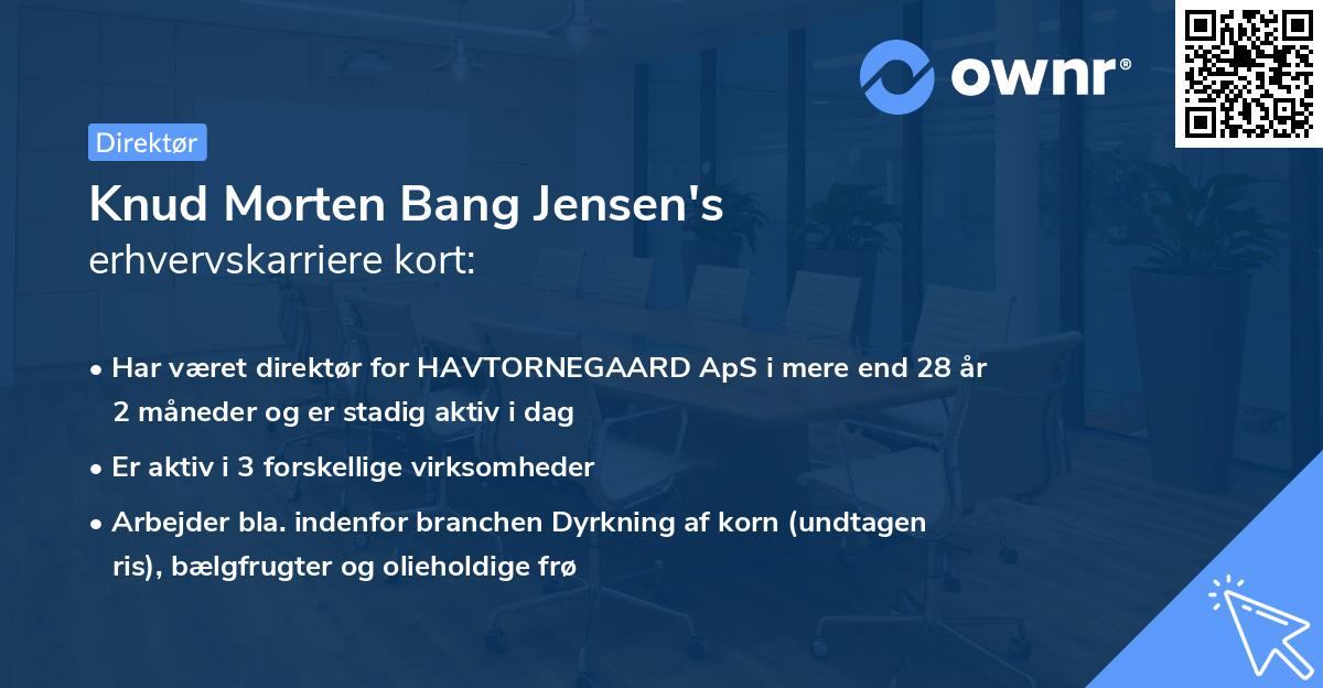Knud Morten Bang Jensen's erhvervskarriere kort
