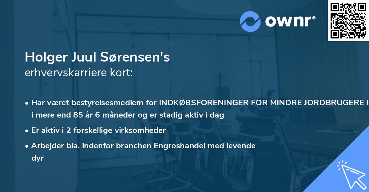 Holger Juul Sørensen's erhvervskarriere kort