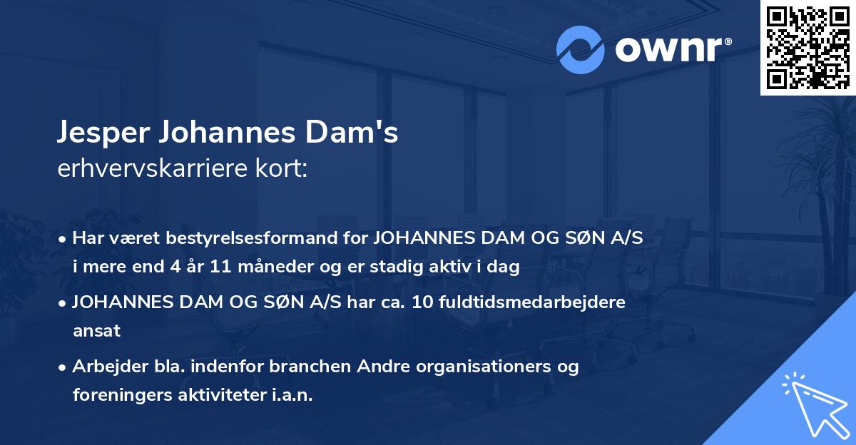Jesper Johannes Dam's erhvervskarriere kort