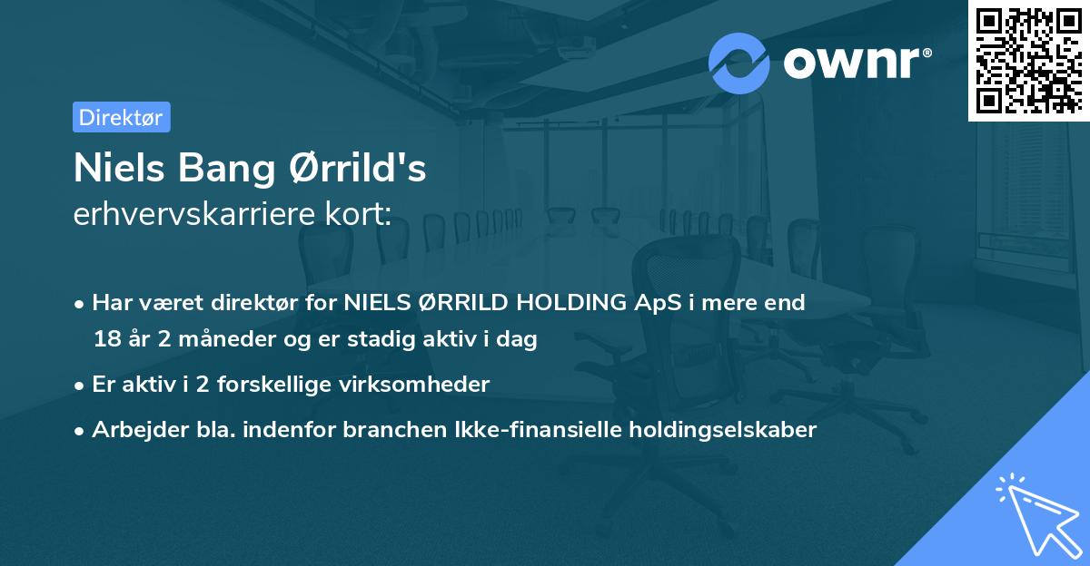 Niels Bang Ørrild's erhvervskarriere kort