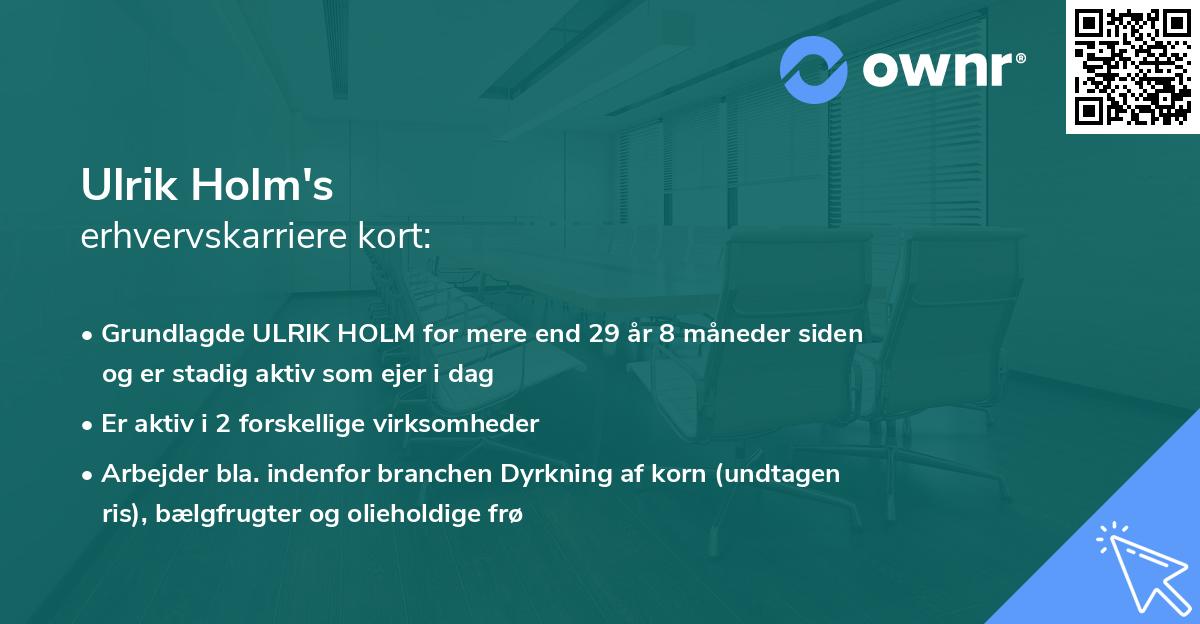 Ulrik Holm's erhvervskarriere kort
