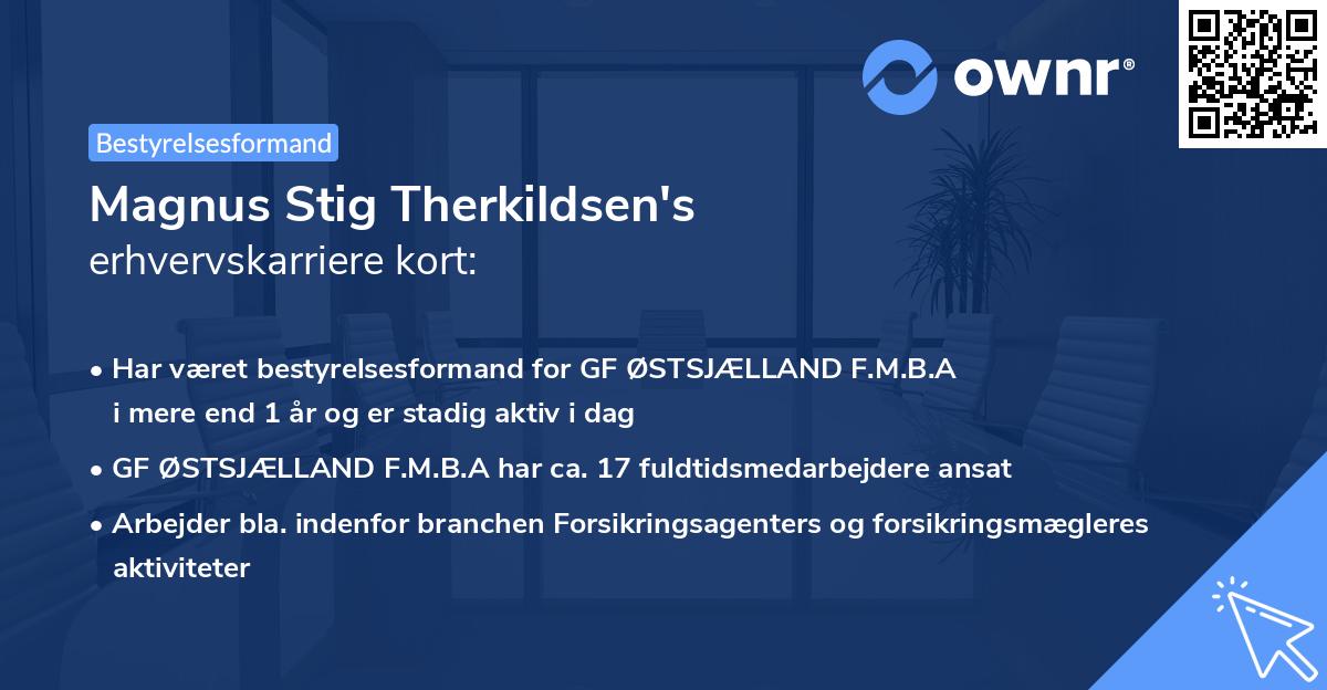 Magnus Stig Therkildsen's erhvervskarriere kort