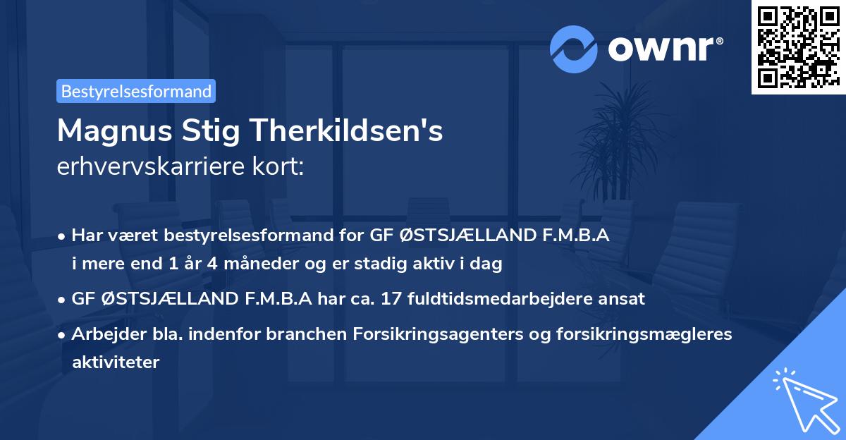Magnus Stig Therkildsen's erhvervskarriere kort