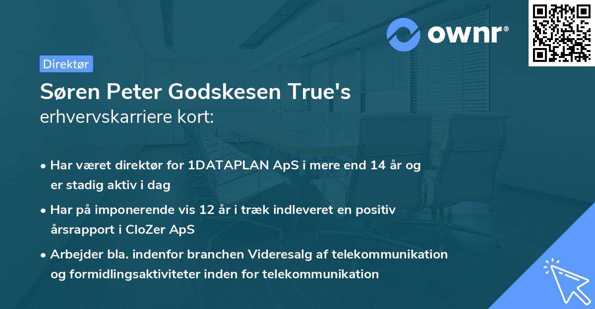 Søren Peter Godskesen True's erhvervskarriere kort