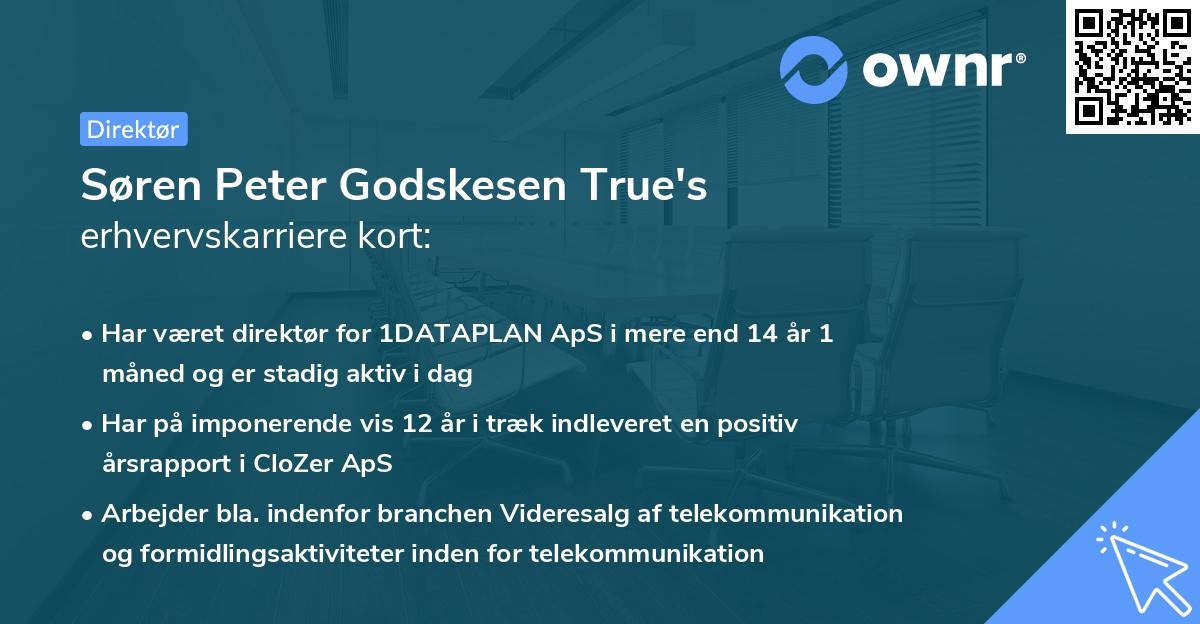 Søren Peter Godskesen True's erhvervskarriere kort