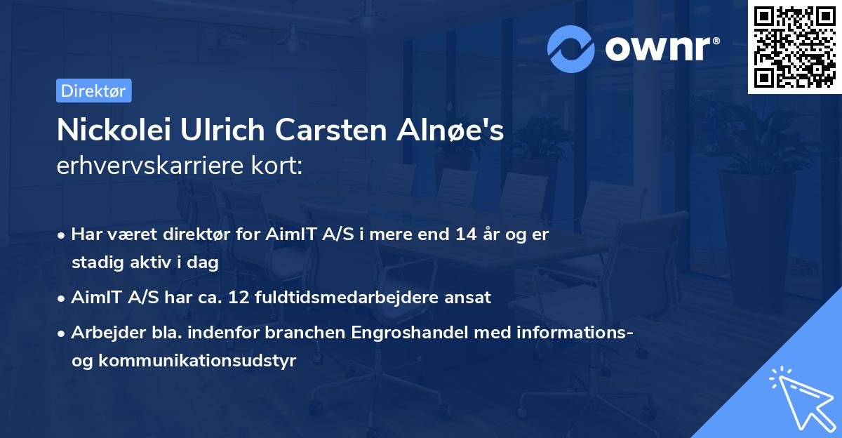 Nickolei Ulrich Carsten Alnøe's erhvervskarriere kort