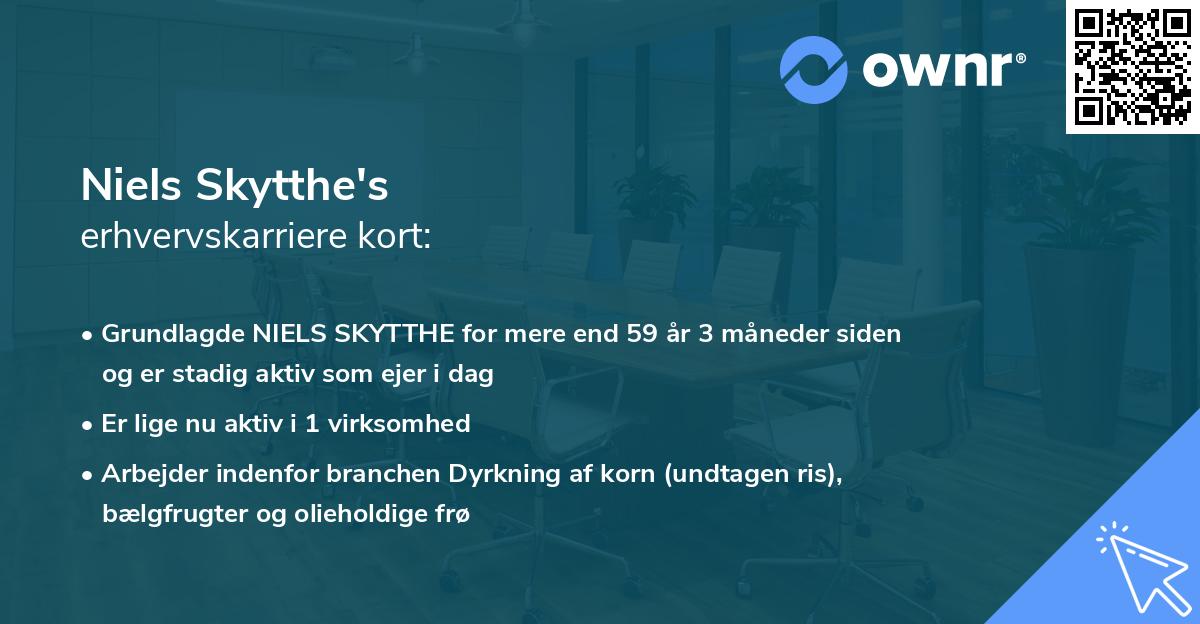 Niels Skytthe's erhvervskarriere kort