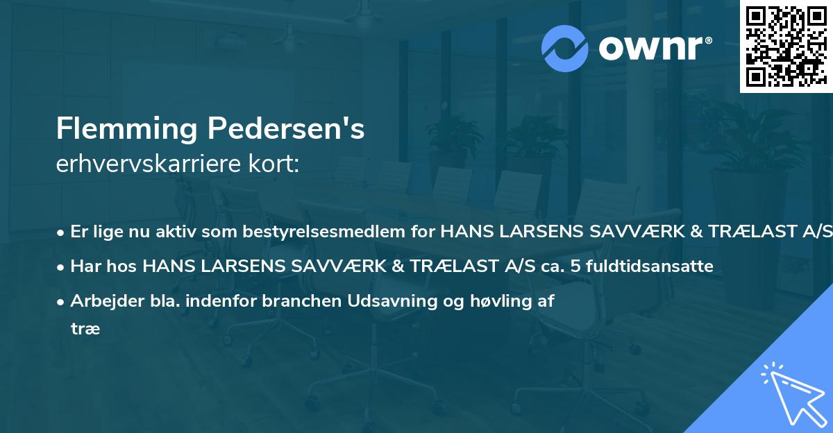 Flemming Pedersen's erhvervskarriere kort
