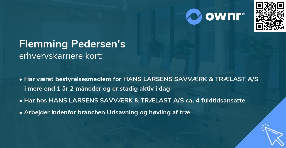 Flemming Pedersen's erhvervskarriere kort