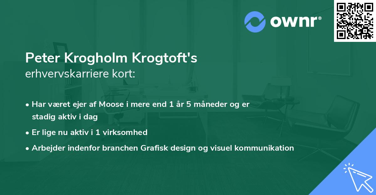Peter Krogholm Krogtoft's erhvervskarriere kort