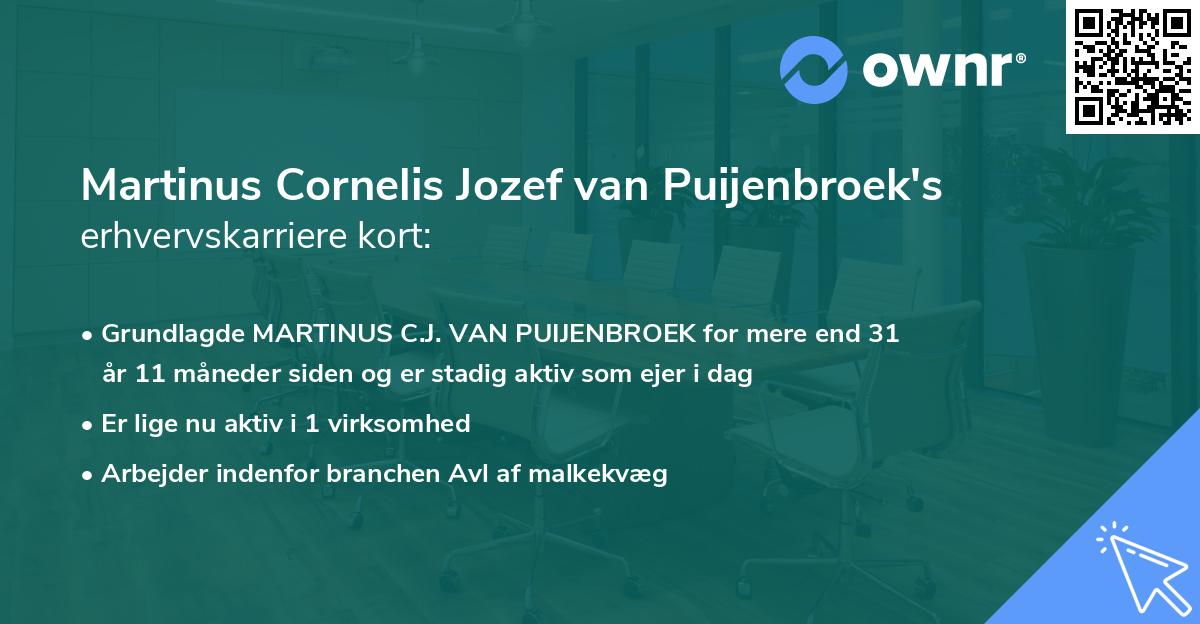 Martinus Cornelis Jozef van Puijenbroek's erhvervskarriere kort