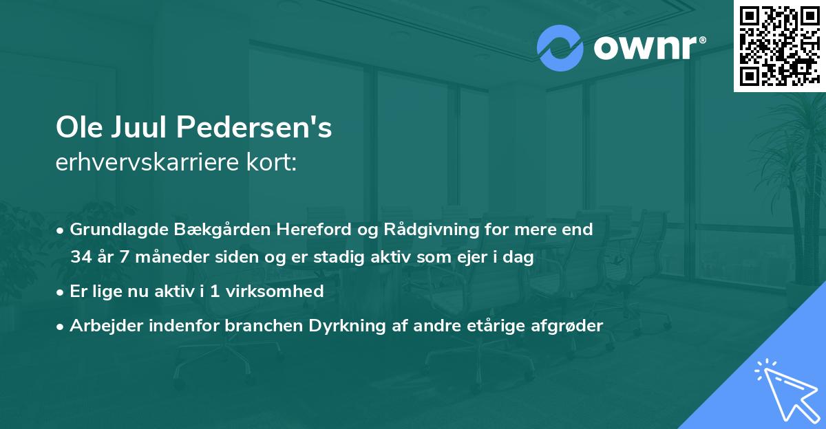 Ole Juul Pedersen's erhvervskarriere kort