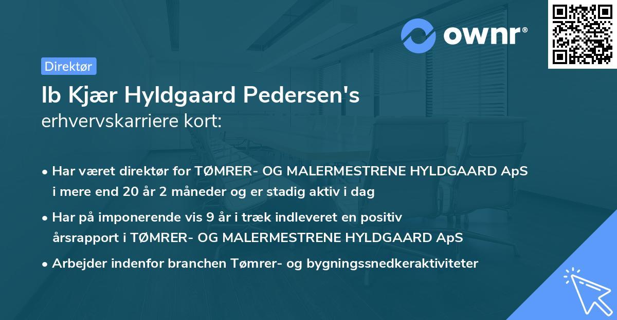 Ib Kjær Hyldgaard Pedersen's erhvervskarriere kort