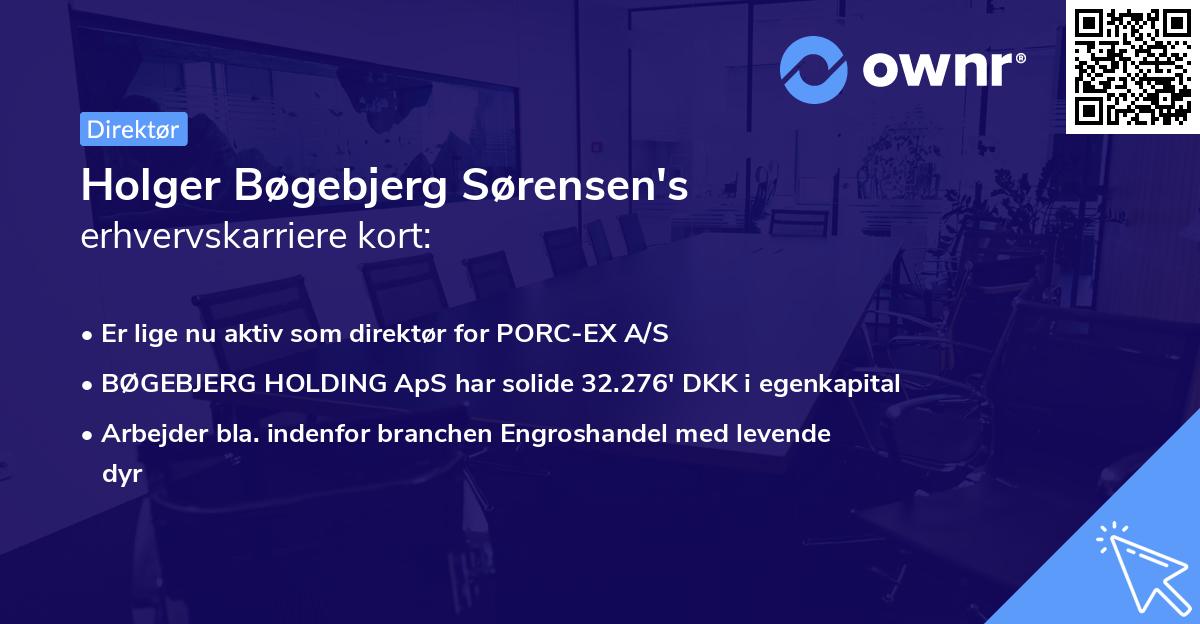 Holger Bøgebjerg Sørensen's erhvervskarriere kort