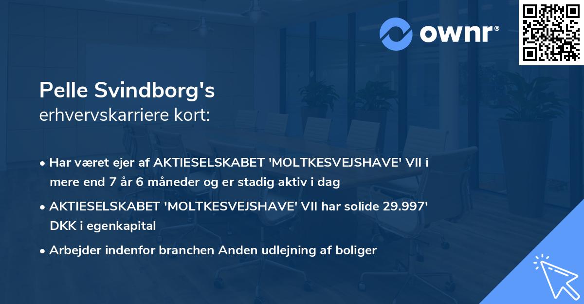 Pelle Svindborg's erhvervskarriere kort