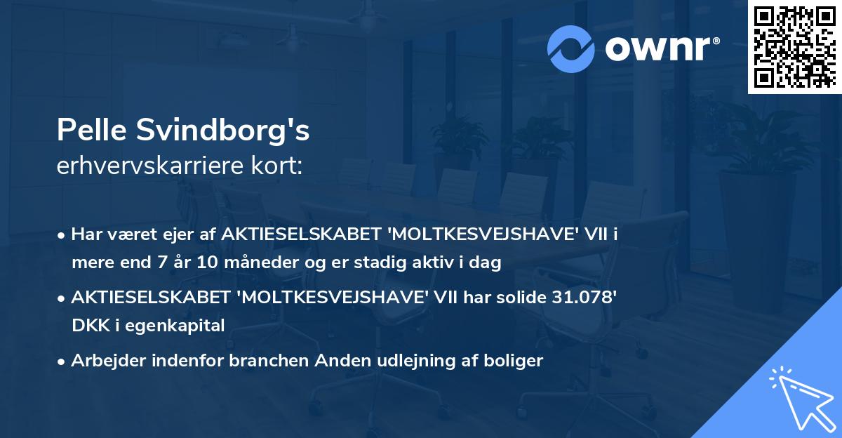 Pelle Svindborg's erhvervskarriere kort