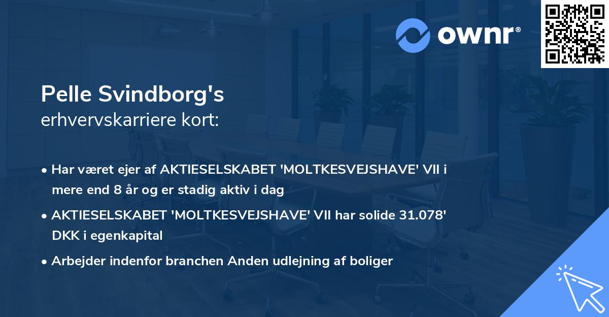 Pelle Svindborg's erhvervskarriere kort