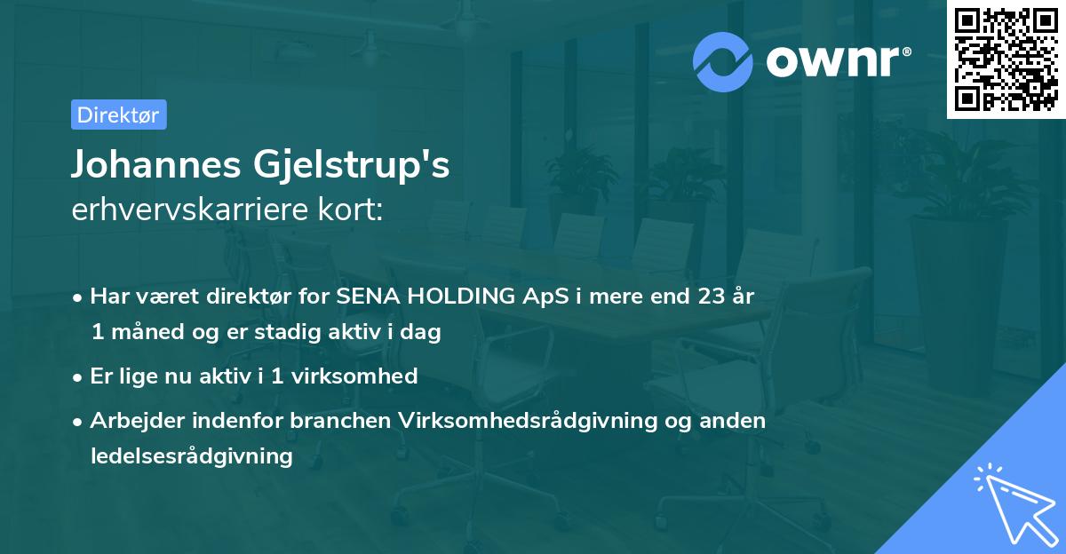 Johannes Gjelstrup's erhvervskarriere kort