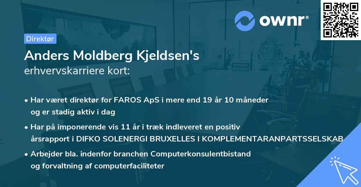 Anders Moldberg Kjeldsen's erhvervskarriere kort