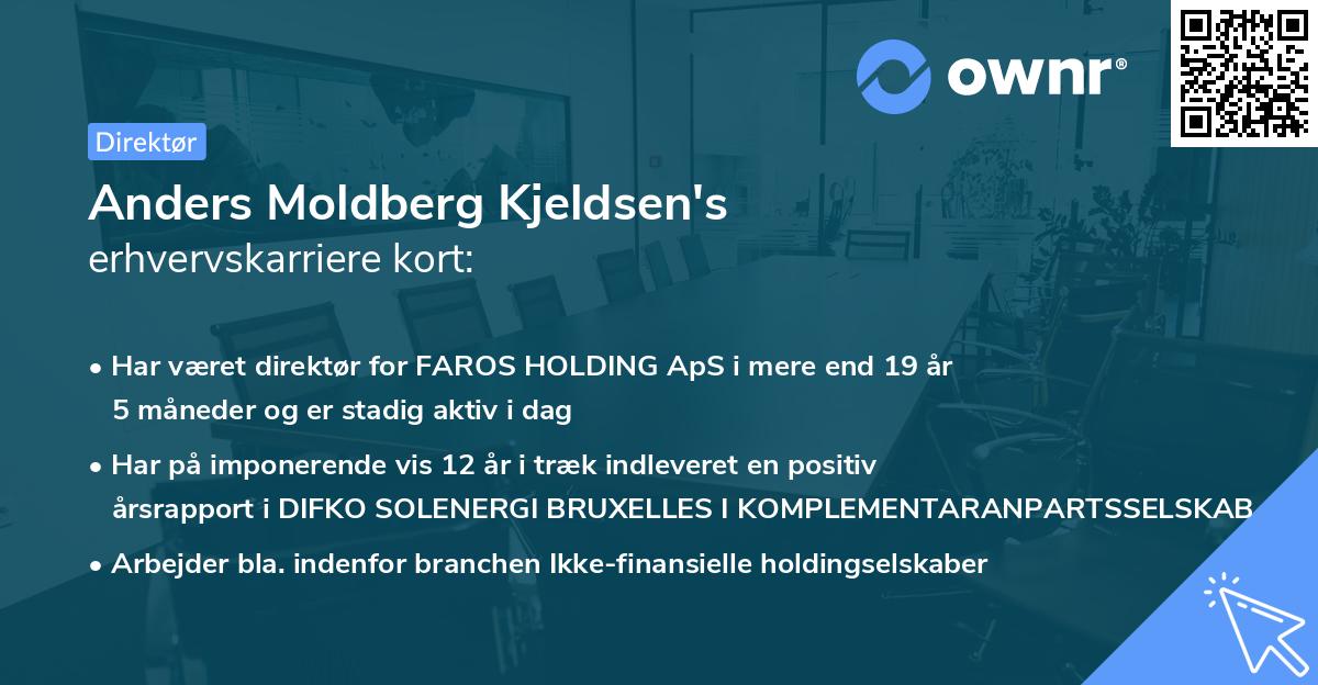 Anders Moldberg Kjeldsen's erhvervskarriere kort
